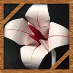 折り紙のゆりの簡単な折り方！人気の花を立体的に作ろう