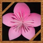 折り紙の桜の簡単な折り方！立体的な桜の作り方を紹介