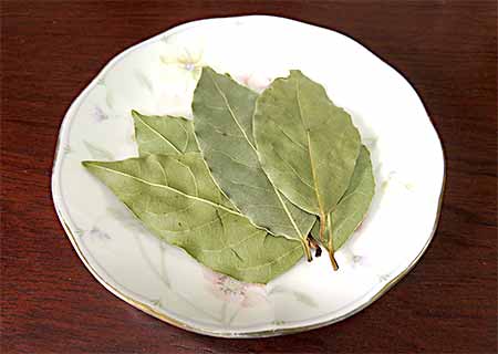 ローリエの葉の代用使い方 肉の臭み消しやカレーポトフに入れる代わりは コタローの日常喫茶